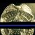 Todd Dolin's profile image