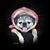 Karen Vidra-Zug's profile image