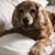 Maryanne Tooch's profile image