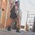 Felicia Garcia Martinez's profile image