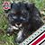 Bradford Farner's profile image