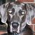 Margo Fraser Winters's profile image