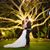 Trish Lynn Droubay's profile image