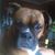 Tony Graham's profile image