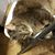 Tim Anderson's profile image