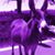 Joe Cruse's profile image