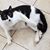 Michelle Lebo-Calnan's profile image