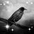 Jamie Kreis's profile image