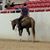 Janet Buckner's profile image