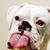 Jaffe Perniciaro's profile image