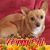 Nell Forney-Fluellen's profile image