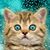 Angela M. Wrobleski's profile image