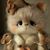 Deb Behlke's profile image