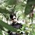 Harish Jaiganesh's profile image
