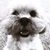 Jennifer Gibbens Poggendorf's profile image