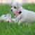 Debra Styck's profile image
