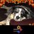 Lynn Stevenson's profile image
