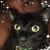 Evalani Coleman's profile image