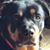 Kimberly Holmes's profile image