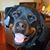 Beth Williams Adams's profile image