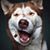 Joe Sottile's profile image