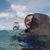 Victoria Kristine Finger's profile image
