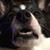 Kim Gallant's profile image