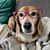 Crystal Newcombe Nosal's profile image