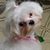 Celeste McAllister Joseph's profile image