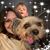 Robyn Harvey's profile image
