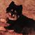 Rolene Rogers's profile image