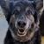 Keith Payer's profile image