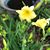 Danette Welch Johnson's profile image
