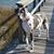 Mindy Hamby Miller's profile image