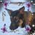 Christine Stacy's profile image