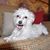 Bella Donna's profile image
