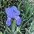 Tammy Smith's profile image