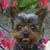 George Phillip Watkins's profile image