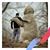 Bob Sipos's profile image