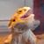 Ben Fiebke's profile image