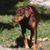 Maureen Howard's profile image