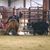 Mandi Knowlton-Cain's profile image