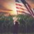 Beverly Fain's profile image