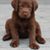 Deanna Anderson's profile image
