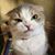 Paul Potts's profile image