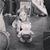 Sharon Albin's profile image