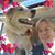Sheila McDevett's profile image