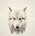 Mark H Okwaho's profile image