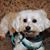 Cheryl Marang Thokey's profile image