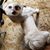 Nancy Gragg's profile image